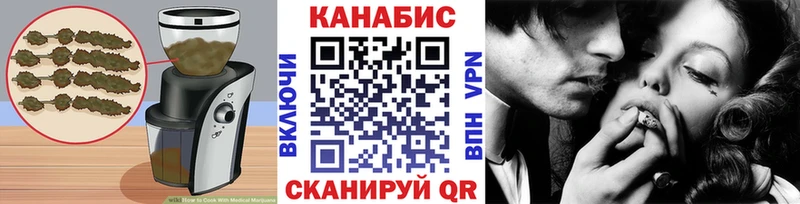 Купить закладки  Курчатов  Cannafood конопля 