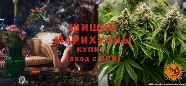 соль ск Гусев