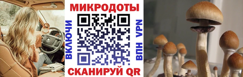 Псилоцибиновые грибы GOLDEN TEACHER  Купить закладки  Курчатов 